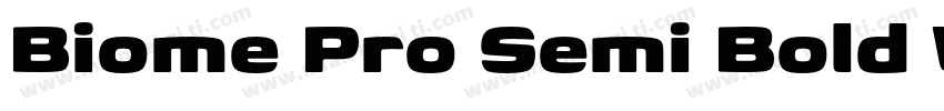 Biome Pro Semi Bold Wide字体转换